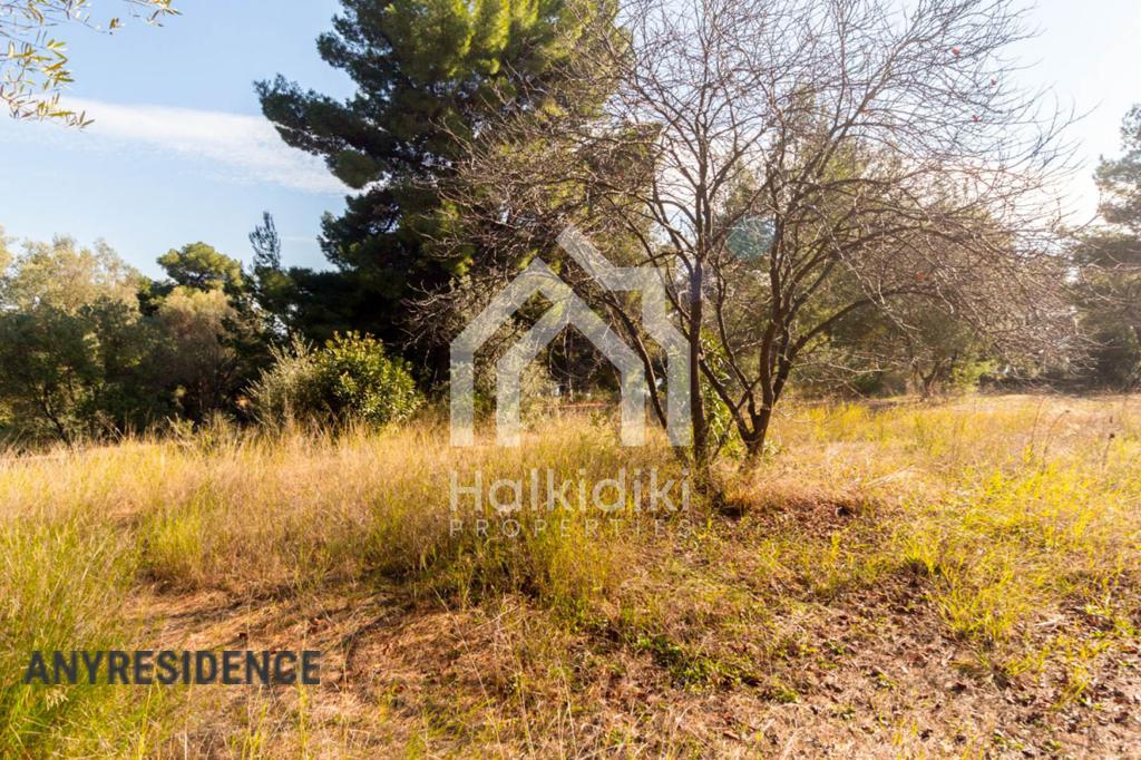 Investment land in Sithonia, photo #9, listing #2081916