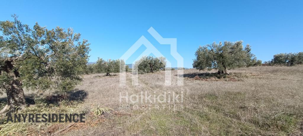 Development land Sithonia, photo #4, listing #2350596