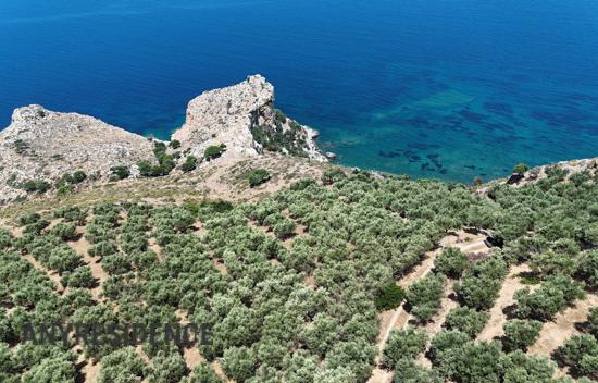 Development land Kissamos