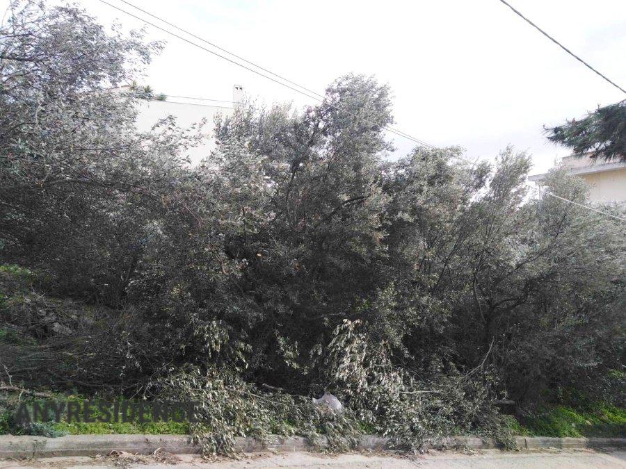 Development land Athens, photo #2, listing #2284717