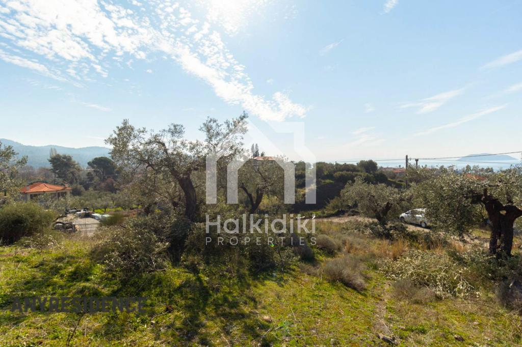 Development land Sithonia, photo #4, listing #2081936