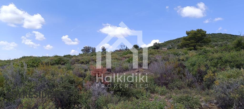 Development land Sithonia, photo #9, listing #2374999