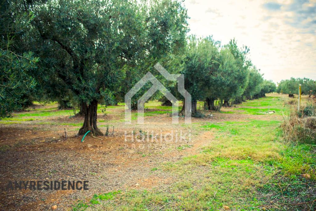 Development land Sithonia, photo #3, listing #1848324