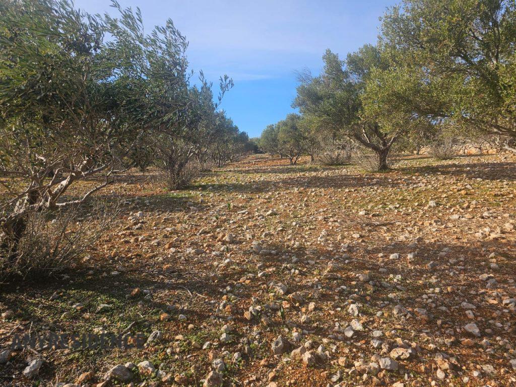 Development land Agios Nikolaos (Crete), photo #8, listing #2416140