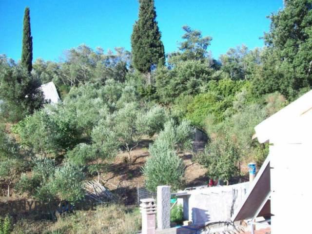 Terraced house in Corfu, photo #8, listing #2156191