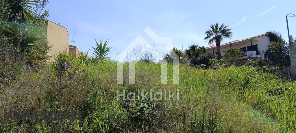 Development land Chalkidiki (Halkidiki), photo #2, listing #2384713