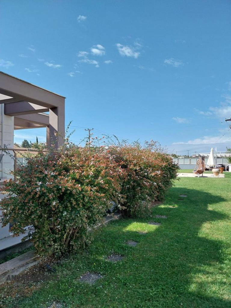 Townhome in Thessaloniki, photo #2, listing #2410671
