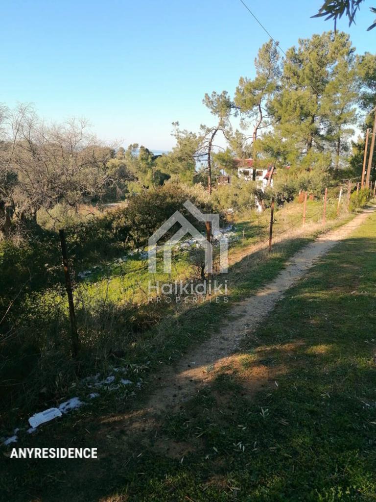 Development land Sithonia, photo #8, listing #2081867