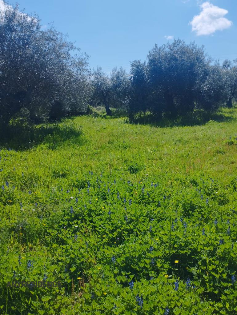 Development land Corfu, photo #6, listing #2446714