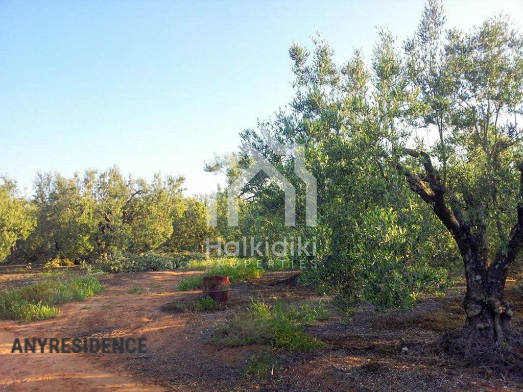 Development land Chalkidiki (Halkidiki), photo #5, listing #1848208