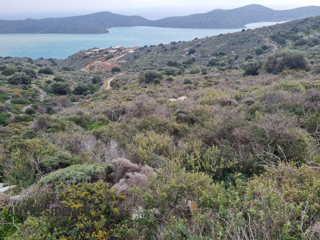 Development land Elounda, photo #10, listing #2388436