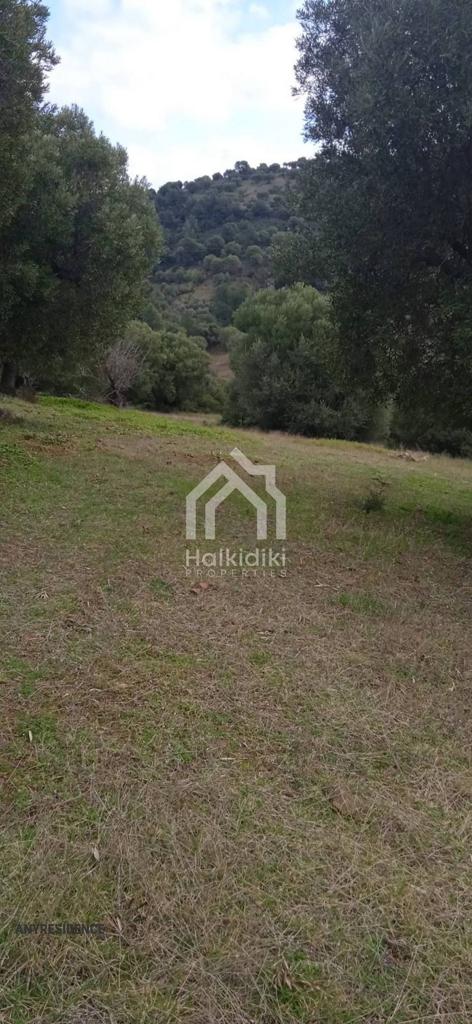 Development land Chalkidiki (Halkidiki), photo #7, listing #1848228