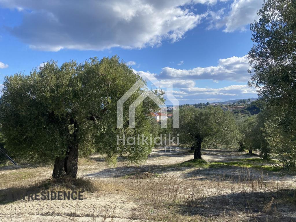 Development land Chalkidiki (Halkidiki), photo #1, listing #2349733