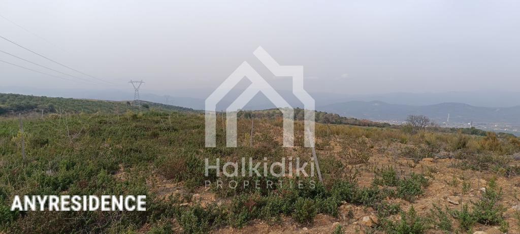 Development land Sithonia, photo #10, listing #2362430