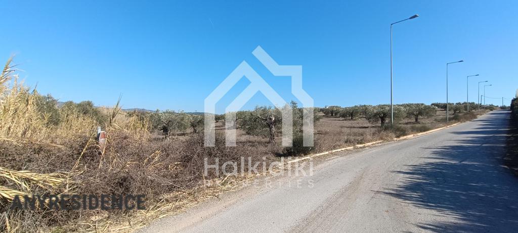 Development land Sithonia, photo #8, listing #2350596