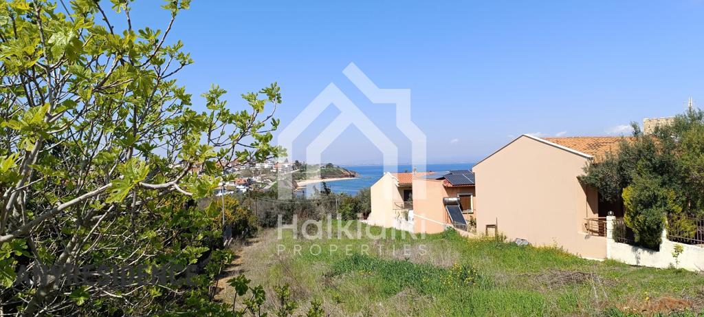 Development land Chalkidiki (Halkidiki), photo #3, listing #2384713