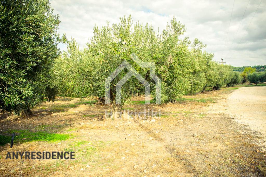 Development land Sithonia, photo #5, listing #1848324