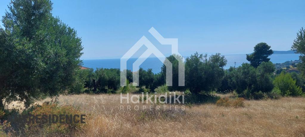 Development land Chalkidiki (Halkidiki), photo #7, listing #2134985