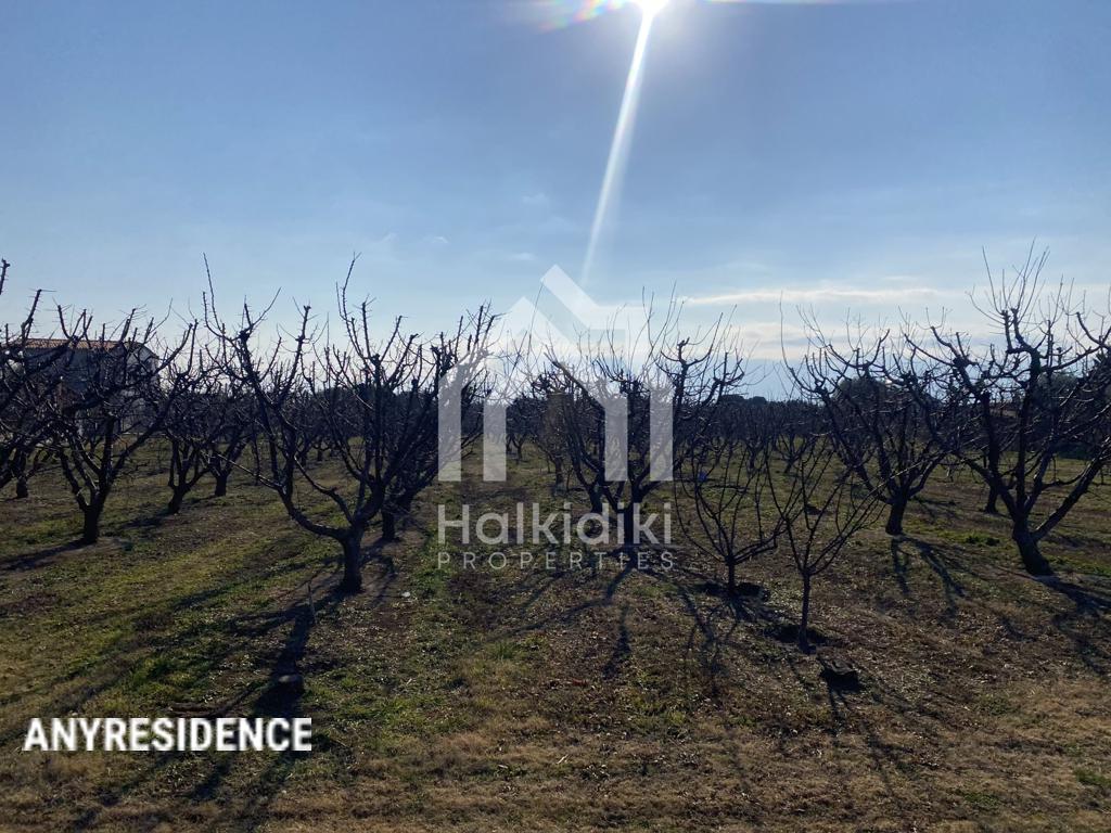 Development land Chalkidiki (Halkidiki), photo #7, listing #2214919