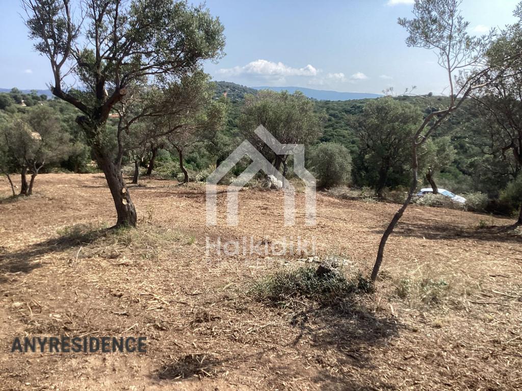 Development land Chalkidiki (Halkidiki), photo #7, listing #2136853