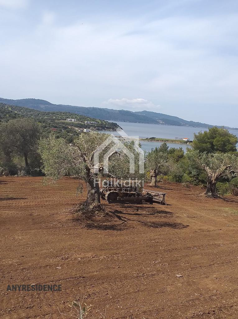 Development land Chalkidiki (Halkidiki), photo #4, listing #2082142