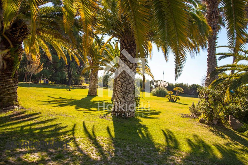 Investment land in Sithonia, photo #5, listing #2185388