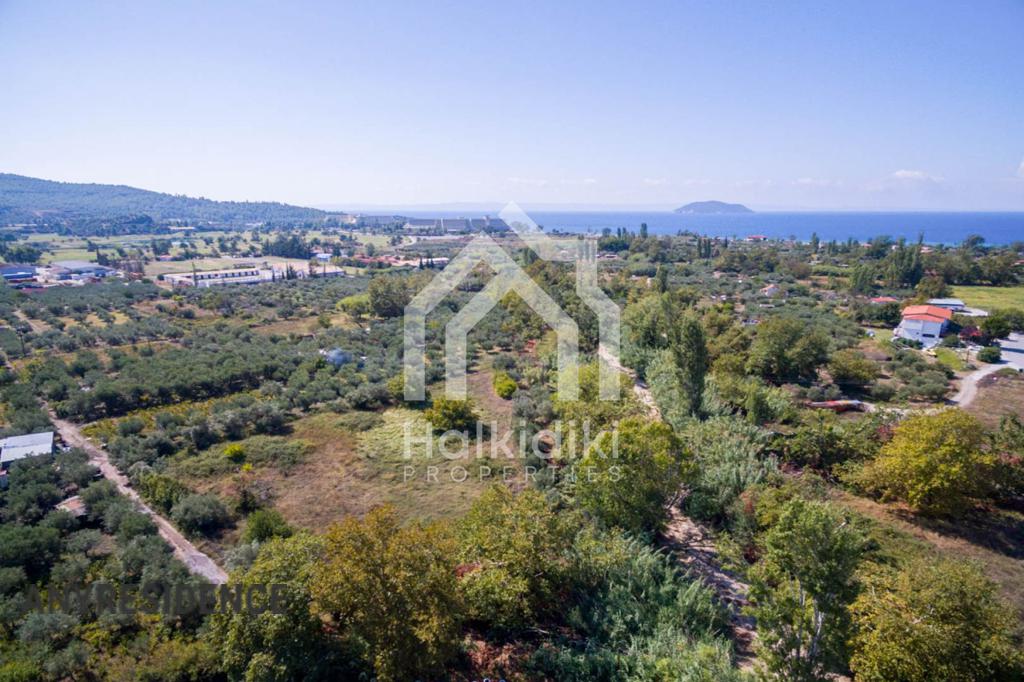 Development land Sithonia, photo #3, listing #2081967