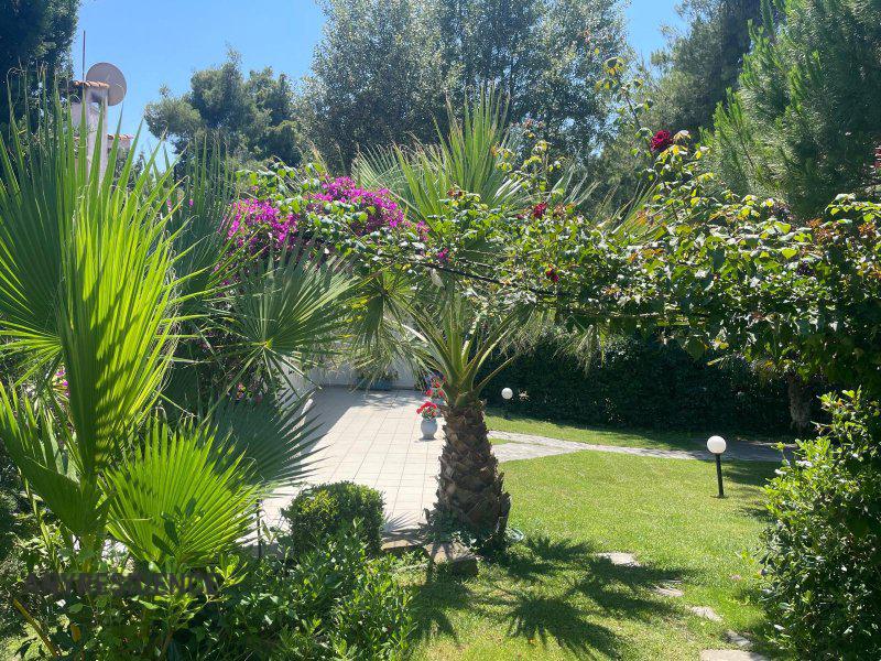 Villa in Sani, photo #4, listing #2468773