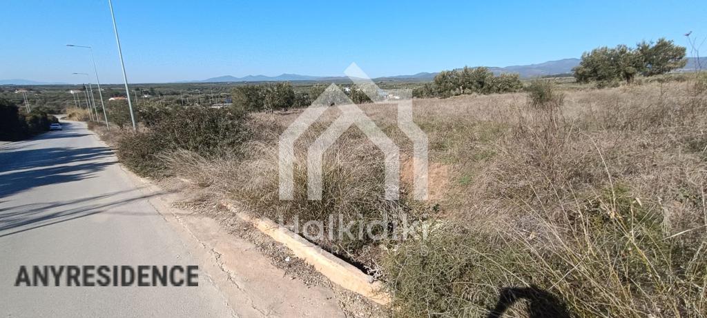 Development land Sithonia, photo #3, listing #2350596