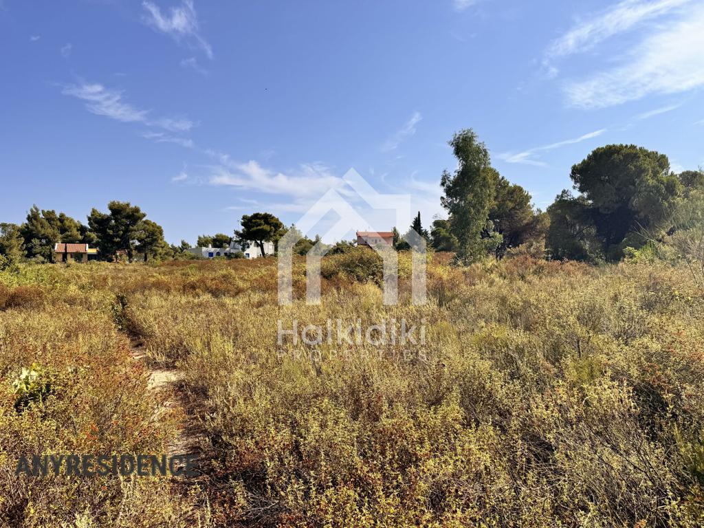 Development land Sithonia, photo #4, listing #2384902