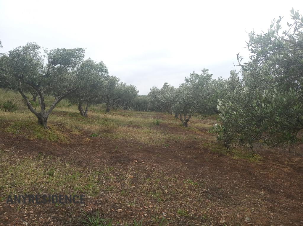 Development land Kissamos, photo #4, listing #2261064