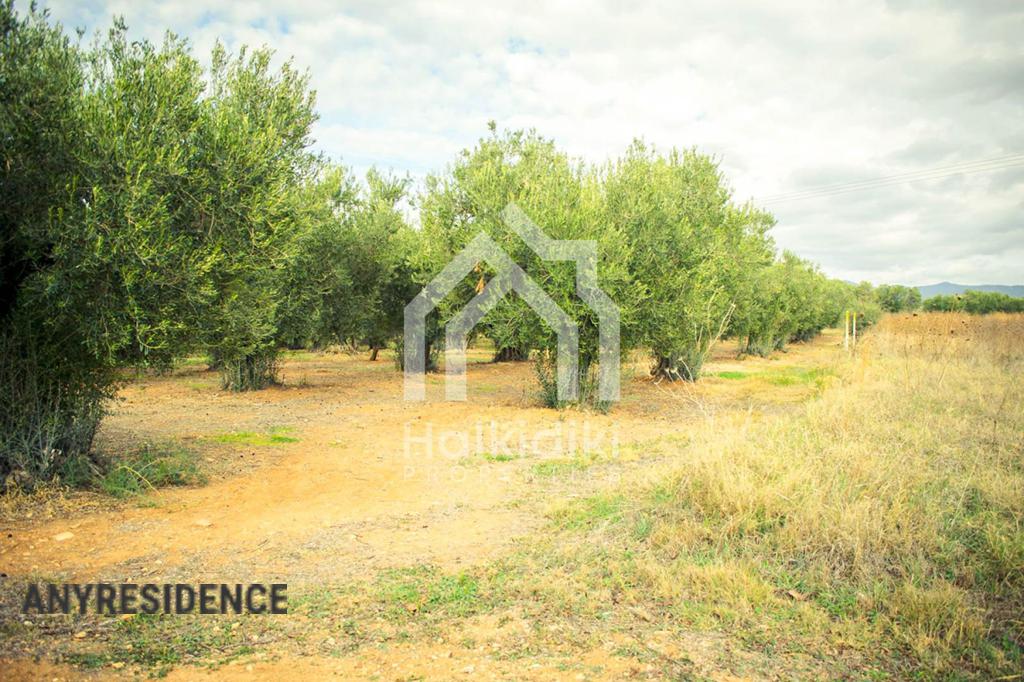 Development land Sithonia, photo #8, listing #1848323
