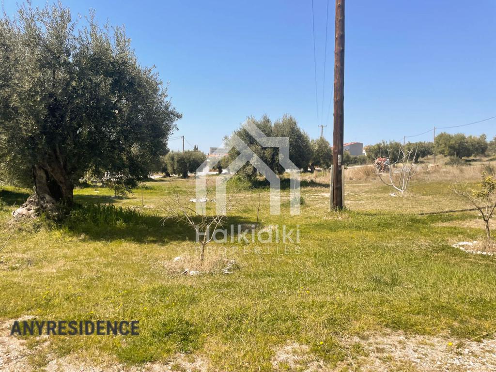 Development land Sithonia, photo #8, listing #2156953