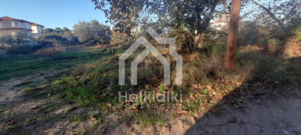 Development land Sithonia, photo #4, listing #2221668