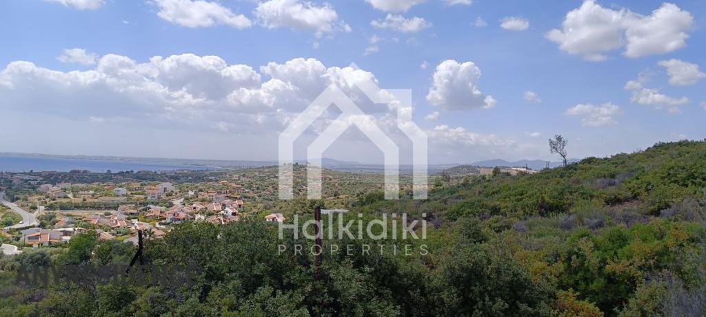 Development land Sithonia, photo #2, listing #2374999