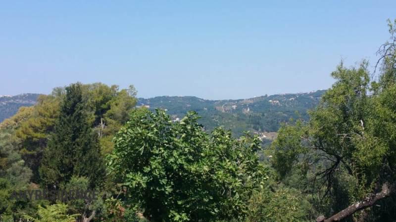 Villa in Agios Georgios, photo #8, listing #2423050
