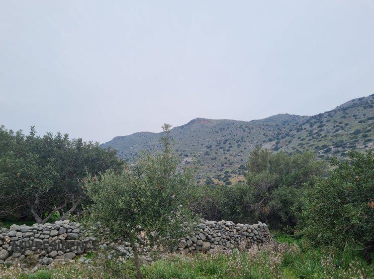 Development land Lasithi, photo #5, listing #2079252