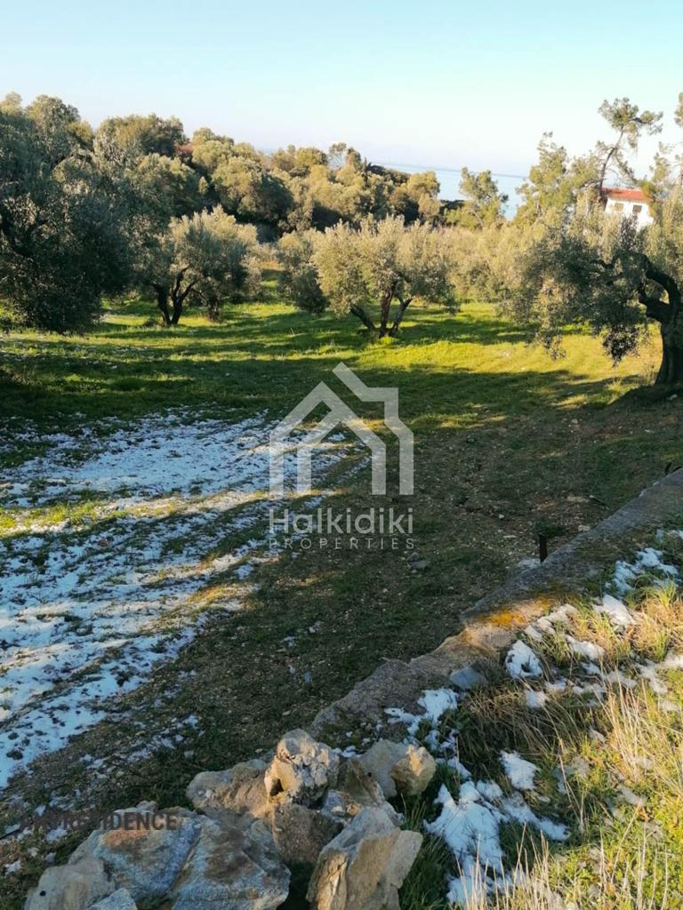 Development land Sithonia, photo #1, listing #2081867