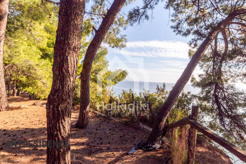 Investment land in Sithonia, photo #7, listing #2081916