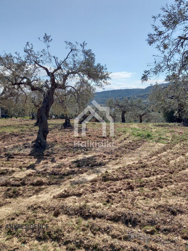 Development land Sithonia, photo #3, listing #2221667