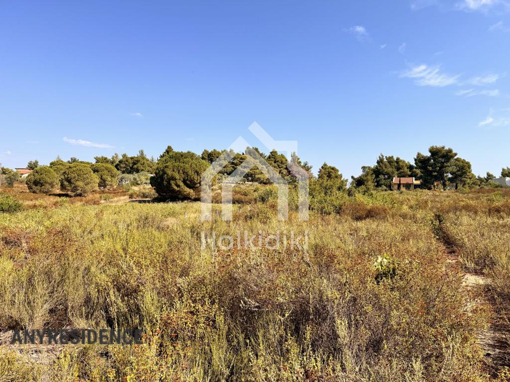 Development land Sithonia, photo #1, listing #2384902