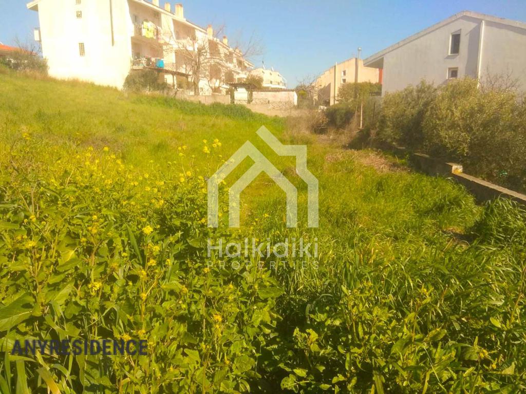 Development land Sithonia, photo #6, listing #2082782