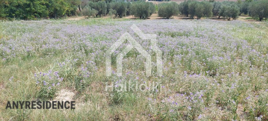 Development land Chalkidiki (Halkidiki), photo #7, listing #2142433