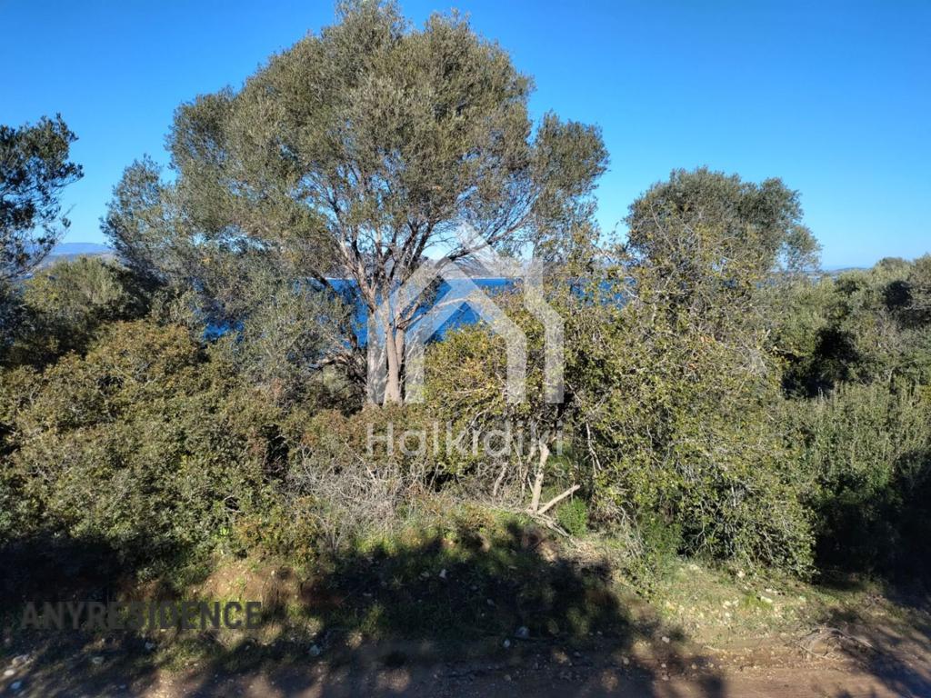 Development land Chalkidiki (Halkidiki), photo #4, listing #2236568