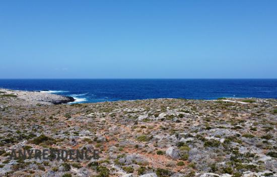 Development land Kalathas