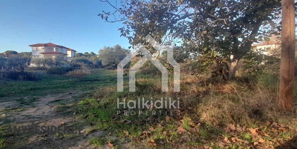 Development land Sithonia, photo #1, listing #2221668