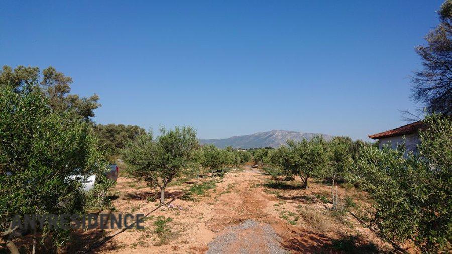 Development land Attica, photo #6, listing #2554059