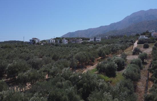 Development land Chania