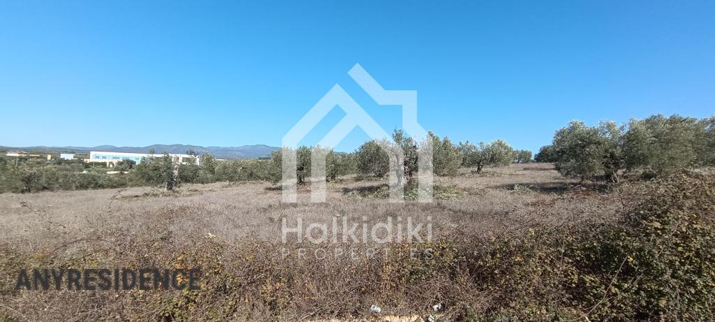 Development land Sithonia, photo #1, listing #2350596