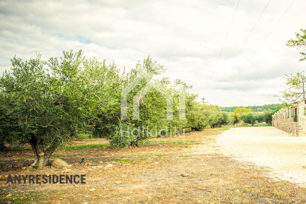 Development land Sithonia, photo #4, listing #1848324